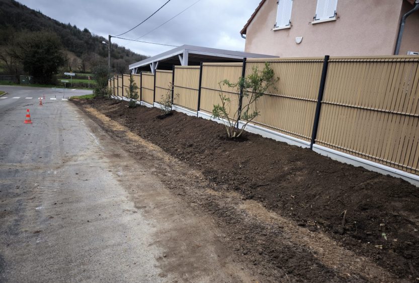 IMG_20260217_110606[1]